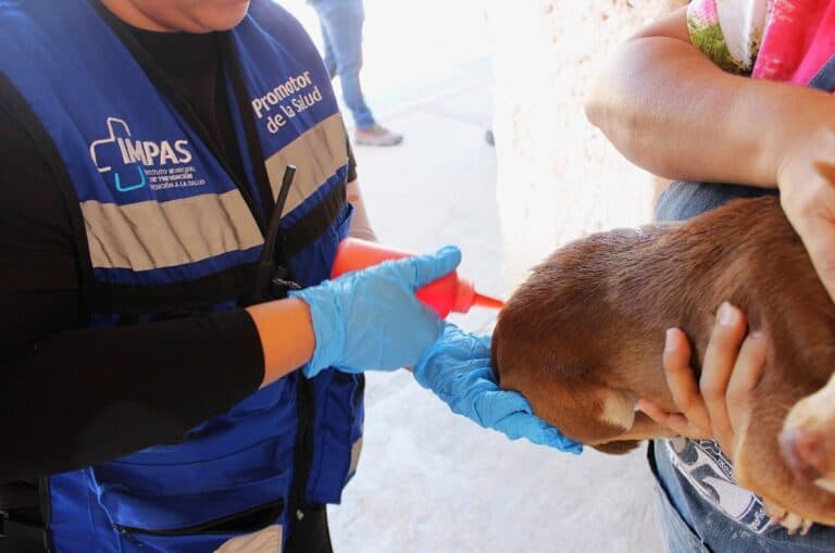 Megapatio llega a colonias