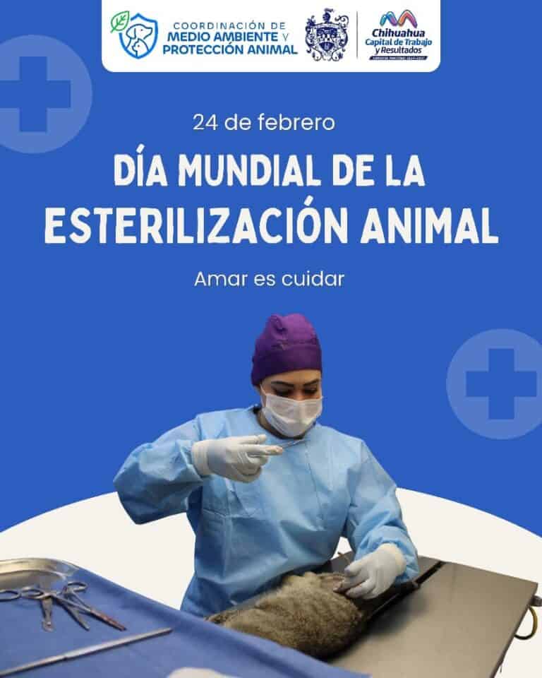 Municipio impulsa esterilización animal