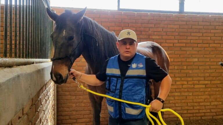 Policía Montada refuerza seguridad