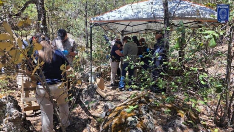 Hallan restos con alteración térmica