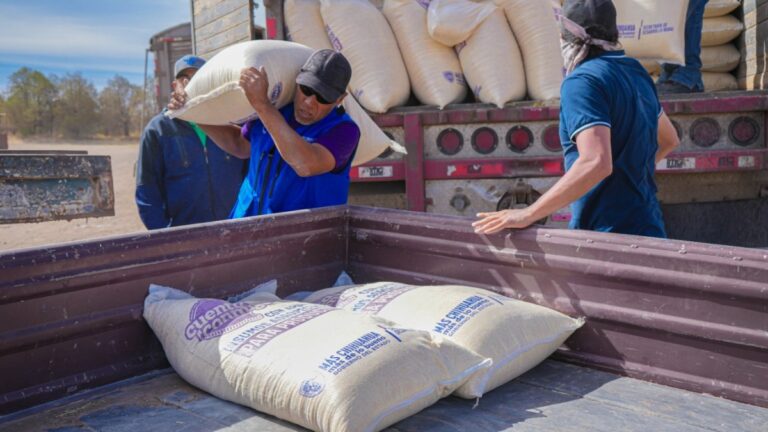 SDR abre apoyo para alimento de aves ponedoras