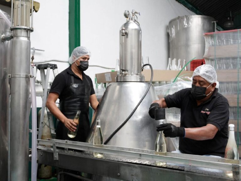Empleo formal alcanza récord histórico
