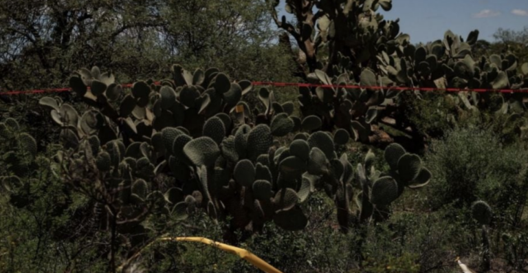 Hallan dos cuerpos y un cráneo en cerro