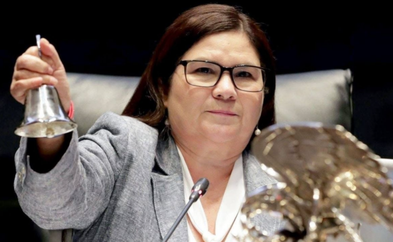 IEES sanciona a Imelda Castro por promoción