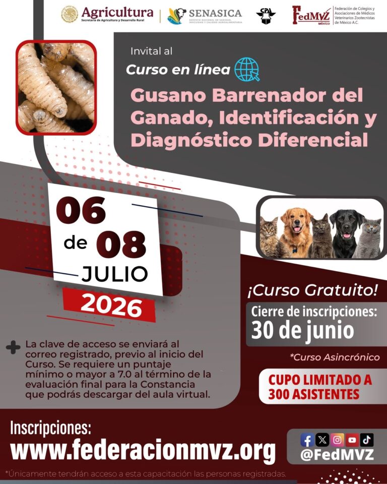 Curso gratuito contra gusano barrenador