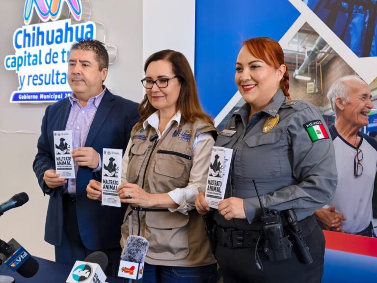 Invitan a foro contra maltrato animal