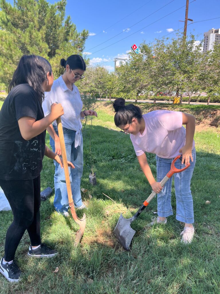 Estudiantes reforestan áreas con programa ambiental