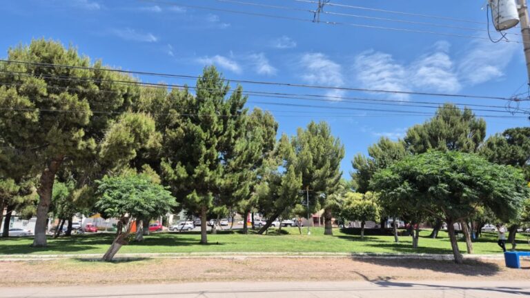 Mantienen parques emblemáticos en buen estado