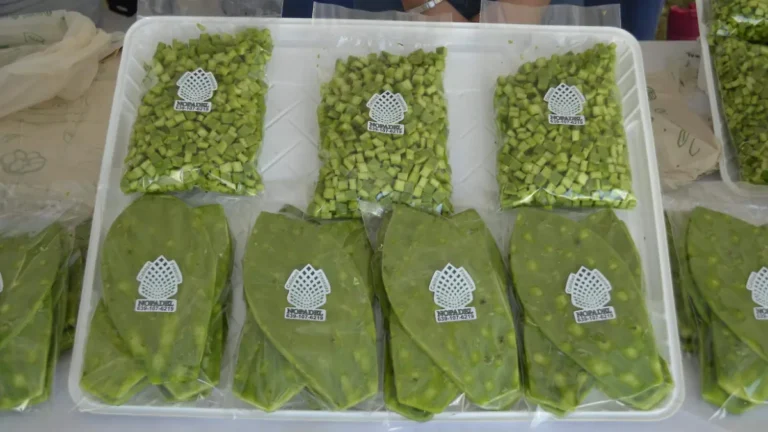 (Delicias) Nopal y ajo impulsan economía