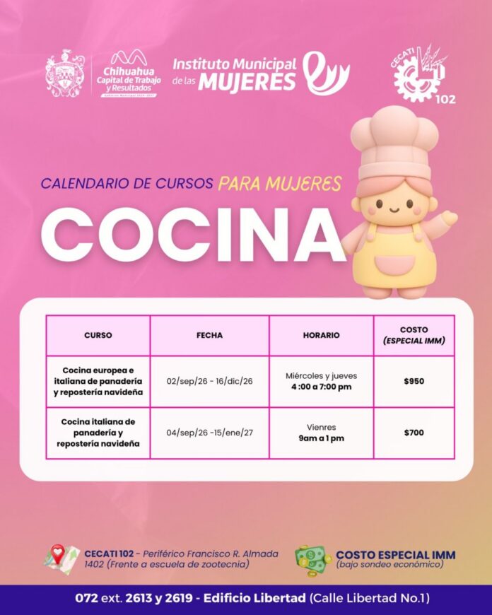 cursos