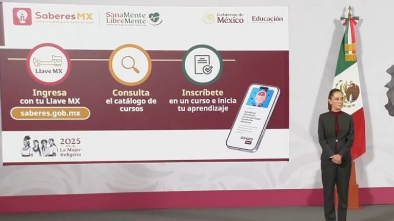 Detectan fallas en cursos educativos del gobierno
