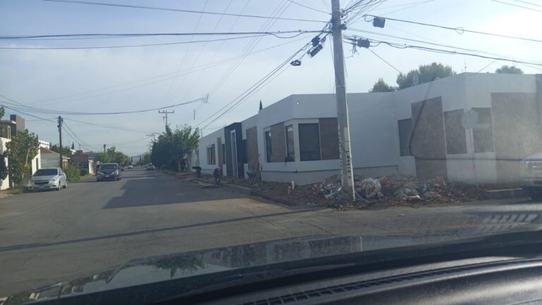 Talan árboles pese a clausura en San Felipe